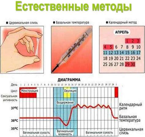 Какие симптомы свидетельствуют о наступлении овуляции?