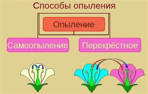 Какие существуют способы шпынять