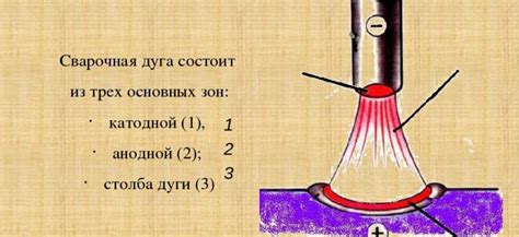 Какие условия способствуют образованию сеногни?