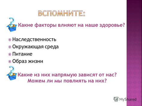 Какие факторы влияют на питание иллюзий?