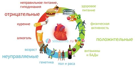 Какие факторы могут повлиять на отсутствие овуляции?