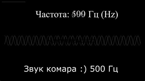 Какие частоты звуков воспринимает человек?