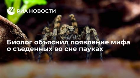 Какие эмоции пробуждает внезапное появление мотоциклов во сне?