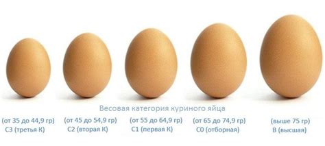 Какие яйца относят к первой категории и чем они отличаются?