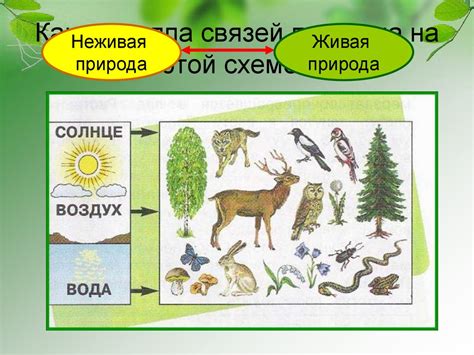 Какими способами можно осуществить окучивание?