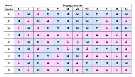 Каким месяцам наиболее благоприятно рождение ребенка