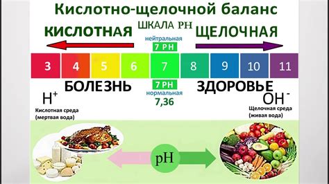 Каким образом можно нормализовать кислотно-щелочной баланс?