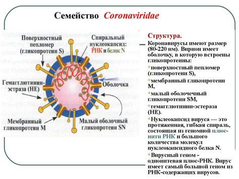 Какова основная суть вируса троян?