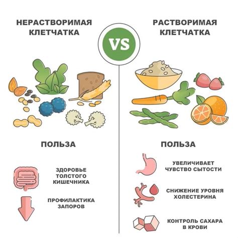 Каковы основные свойства растворимой клетчатки?