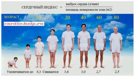 Каковы последствия возрастных изменений сердца?