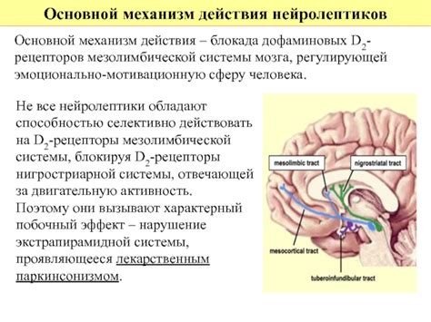 Каков механизм воздействия блокады дофаминовых рецепторов на организм?