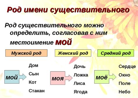 Какого типа существительное "hips"?