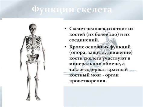 Какое значение имеет мазгамды скпещ?