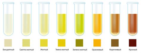 Какое значение имеет соломенно желтый цвет мочи?