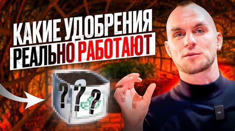 Какое удобрение лучше усваивается растениями?