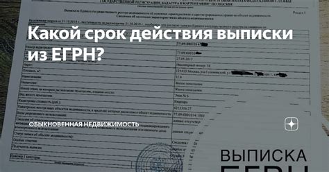 Какой смысл несет получатель выписки ЕГРН?