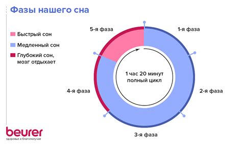 Какой сон считается благоприятным для организма?
