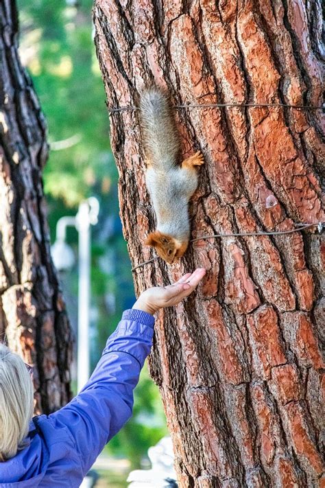 Какой эффект создает отсутствие диафрагмы на фото?