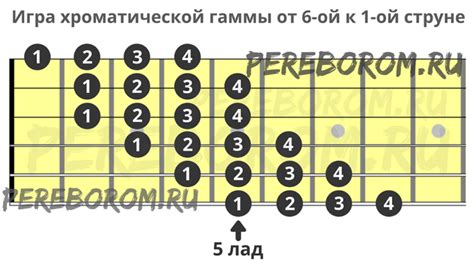 Какую роль играет хроматическая гамма в формировании цветовых комбинаций?