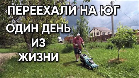 Как С апп улучшает организацию повседневных дел