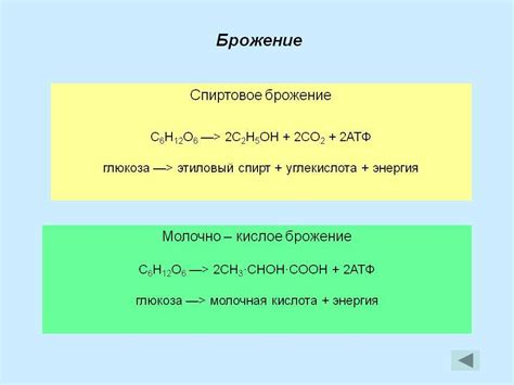 Как влияет глюкоза на процесс брожения