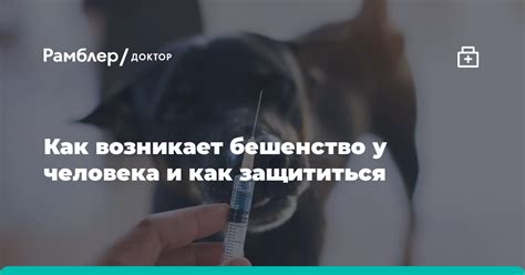 Как возникает бешенство у человека?