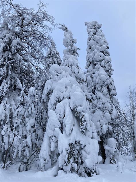 Как возникают снежные заметы?