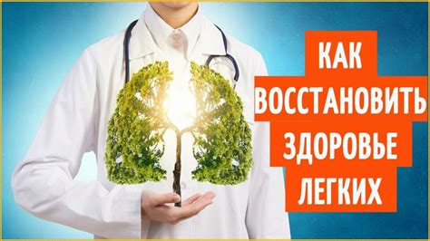 Как восстановить здоровье туи после поражения шишками: советы от специалистов