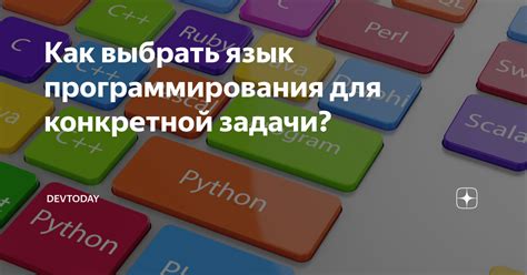 Как выбрать правильную нагайку для конкретной задачи