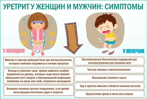 Как диагностировать боли при мочеиспускании?