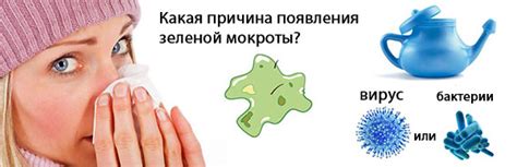 Как диагностировать причины отхождения зеленой мокроты?