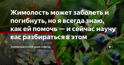 Как ей помочь: полезные советы и рекомендации