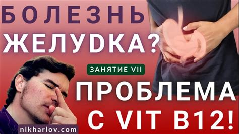 Как желудок переваривает свои собственные ткани?