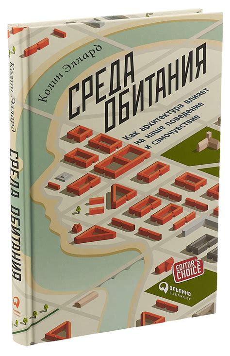 Как иерархия ценностей влияет на наше поведение и выборы