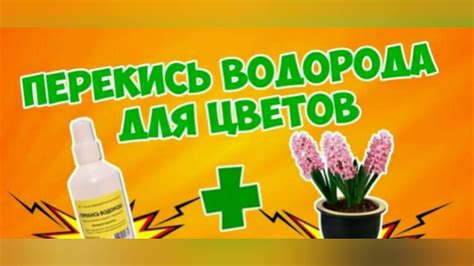 Как избежать пенистости перекиси водорода