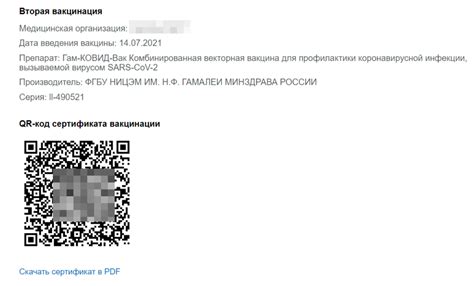 Как избежать проблем с QR-кодом на госуслугах