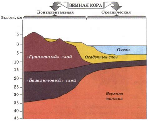 Как измениться приземное покрытие, если осадочный слой исчезнет?