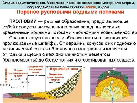 Как изменяется приземное покрытие под воздействием осадочного слоя?