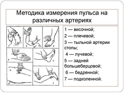 Как измерить ЧСС?