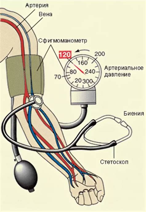 Как измеряется венозное давление?