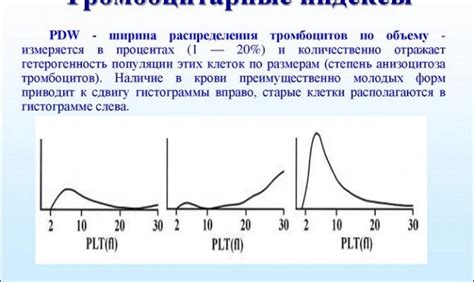 Как измеряется PDW крови и что говорят значения