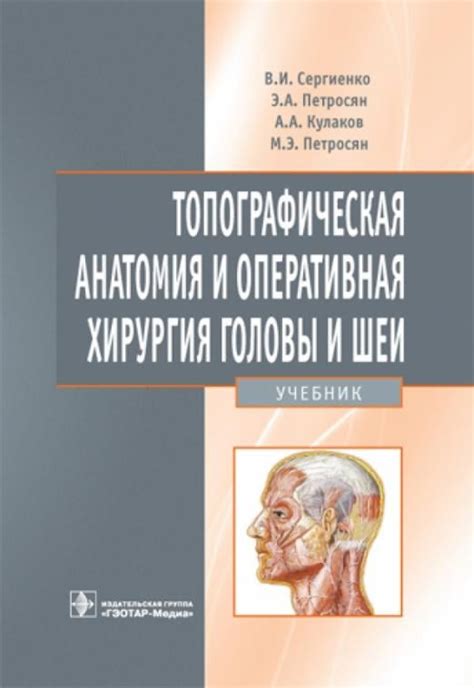 Как изучается топографическая анатомия: методы и инструменты