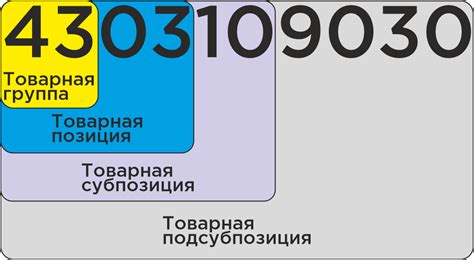 Как использовать Код ТН ВЭД при ввозе товаров в Казахстан