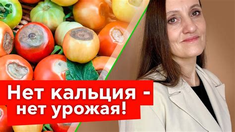 Как использовать доступные средства