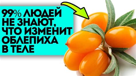 Как использовать облепиху сортовую для укрепления здоровья?