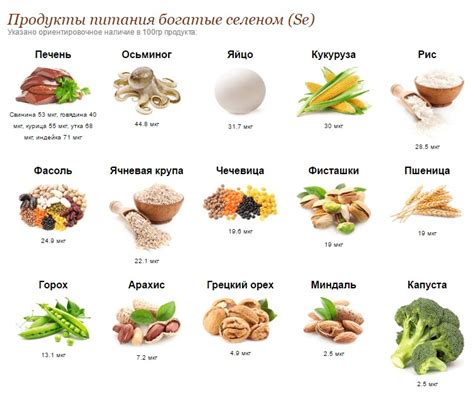 Как использовать орехи с высоким содержанием селена в питании?