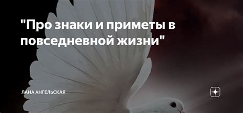 Как использовать петуховые погодные приметы в повседневной жизни