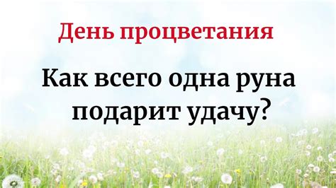 Как использовать сновидения для достижения финансового процветания