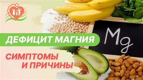 Как компенсировать дефицит магния в организме: эффективные методы и пищевые продукты