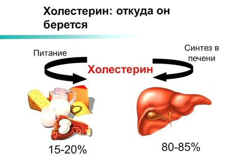 Как контролировать уровень эндогенного холестерина